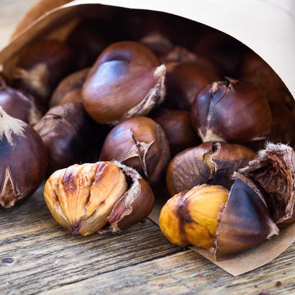 Chestnut Roaster Bucket