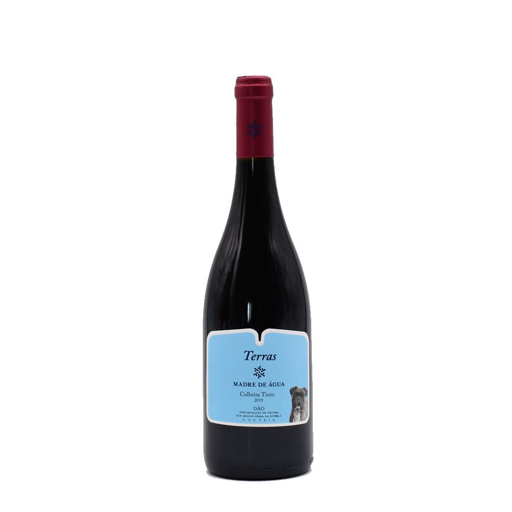 Terras Madre de água 2019 I Red Wine from Dão - 75cl