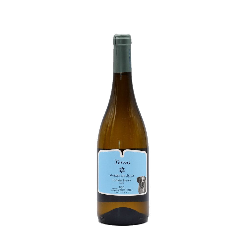 Terras Madre de água 2019 I White Wine from Dão - 75cl