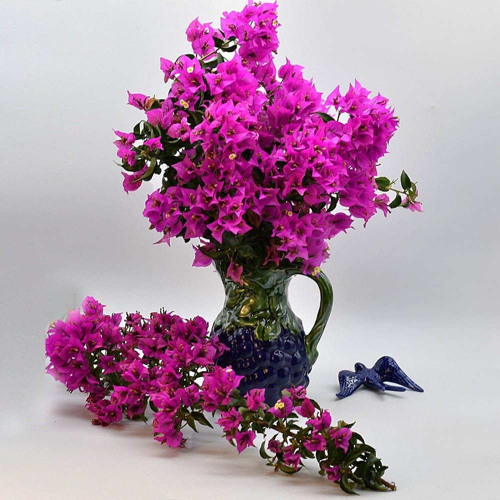 Uvas I Ceramic Pitcher - Purple