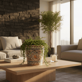 Coimbra Ceramic I Planter - 9.5"