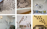 langify_image_container