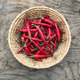 Portuguese Chicken Sauce with Piri-Piri