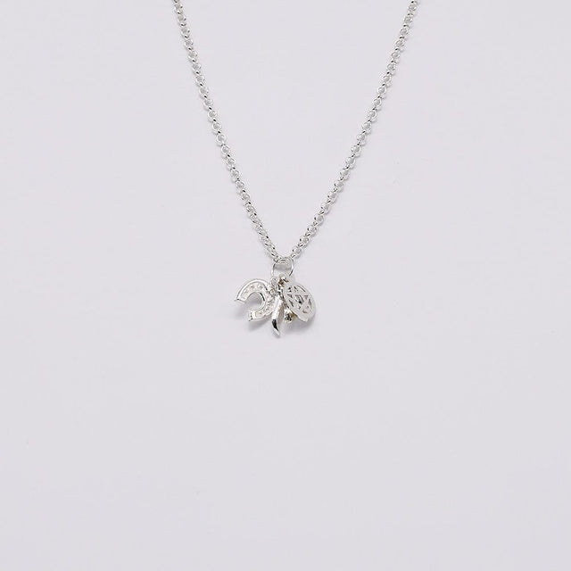 Set of 5 Lucky Charms in Silver 0.5 oz