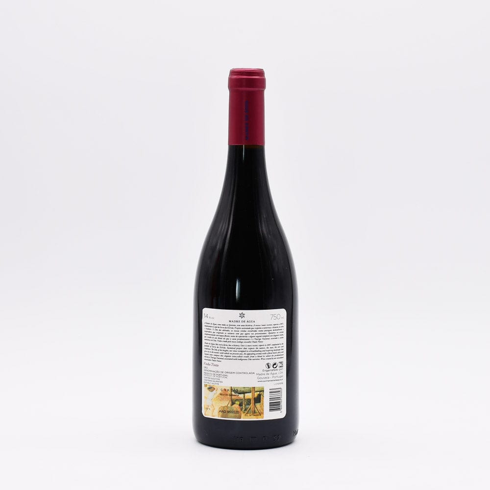 Terras Madre de água 2019 I Red Wine from Dão - 75cl
