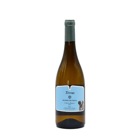 Terras Madre de água 2019 I White Wine from Dão - 75cl