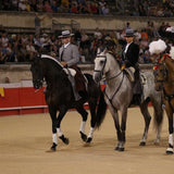 Traditional Portuguese Toreiro Hat